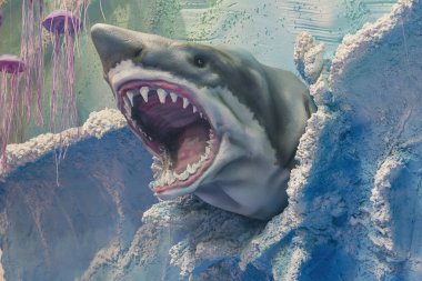 Layout dreadful predatory sharks in the sea close up clipart