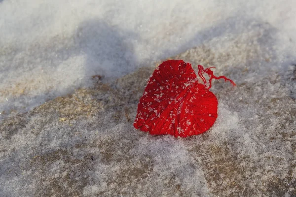 情人节, 在雪木的表面上戴着红色的羊毛心 — 图库照片