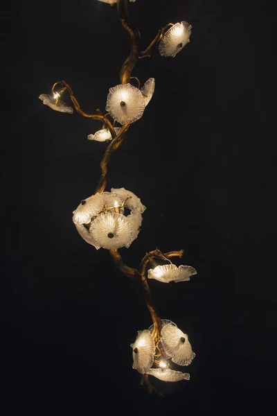 검은 바탕에 꽃의 형태로 아름 다운 고급 스러운 샹들리. 인테리어 — 스톡 사진