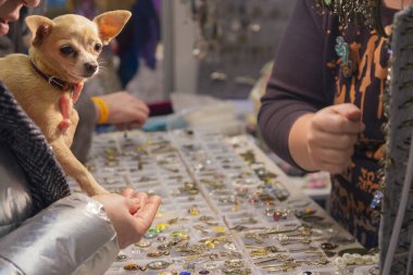 Tezgahta kollarında küçük bir köpekle mücevher taşıyan bir kadın.