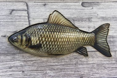 Duvardaki sazan balığının kopyası.