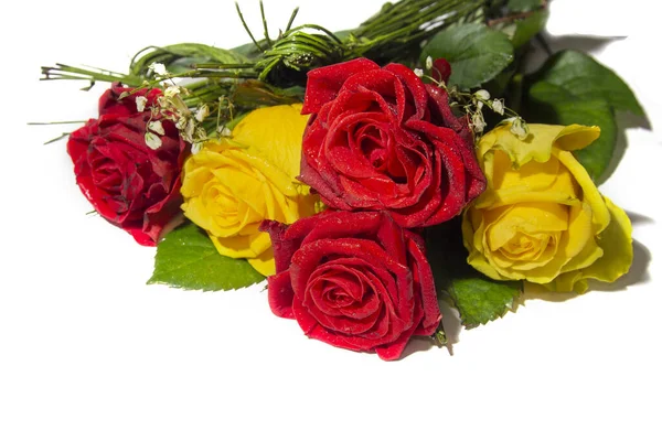 Lindas rosas vermelhas e amarelas isoladas em fundo branco — Fotografia de Stock