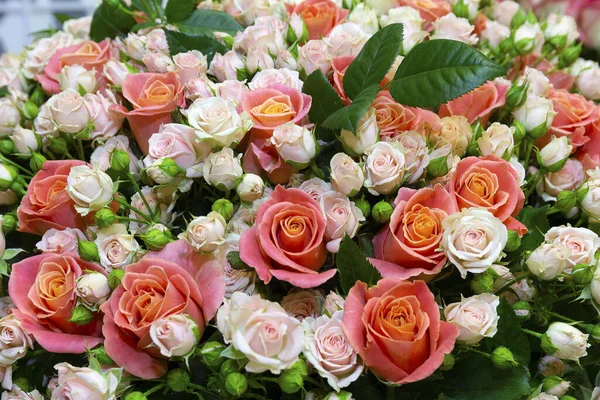 Grande Buquê Rosas Vermelhas Creme Close Flores — Fotografia de Stock