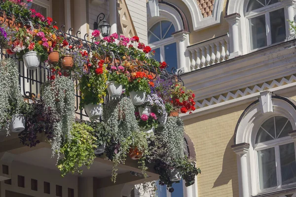 Květiny Balkoně Luxusní Dům Klasickém Stylu Architektura — Stock fotografie