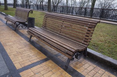 Yağmurlu bir günde parktaki ara sokakta banklar. Kentsel