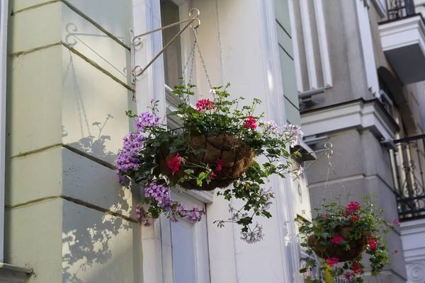 Hanging Baskets Flowers Wall Building — Stock Photo, Image