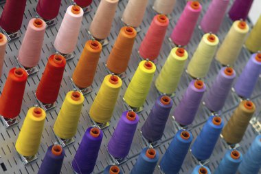 Dikiş makinesi için renkli işlemeli iplikler. Sanayi