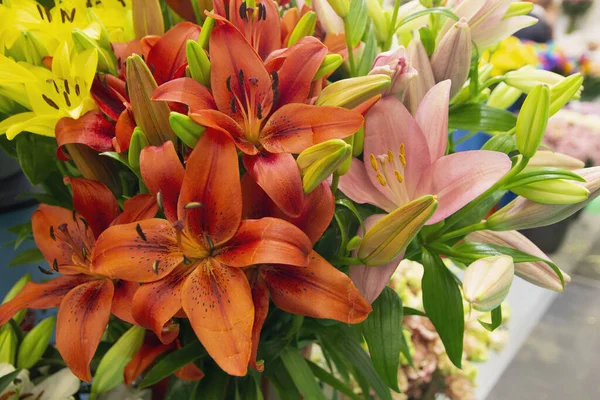 Orange Pink Lilies Beautiful Fresh Bouquet — Stock Photo, Image
