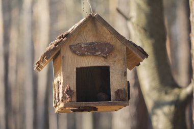 Parkta ev yapımı ahşap kuş yemi