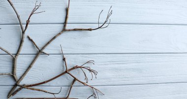 Ahşap masa sanat kompozisyon