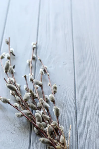 Fir branch on the white wooden desk — Stock Photo, Image