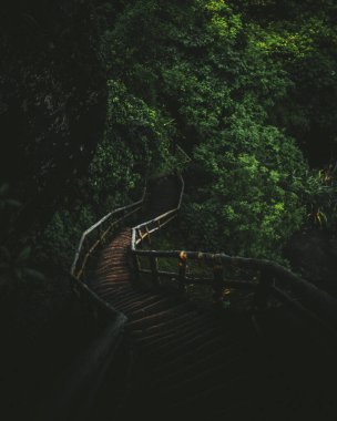 Ormanın içindeki tahta merdivenler.