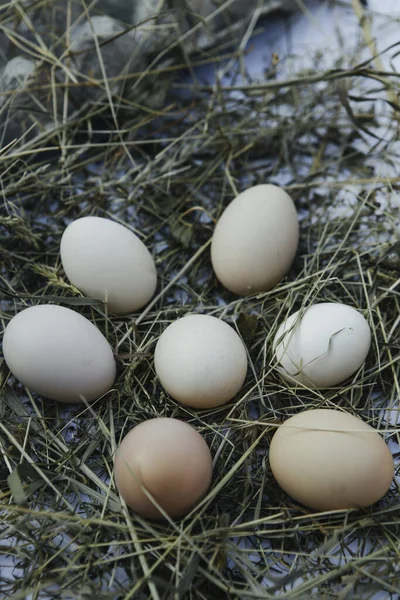 Caja Papel Con Huevos Pollo —  Fotos de Stock