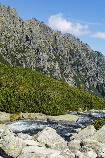 Górski potok w Tatrach. — Zdjęcie stockowe