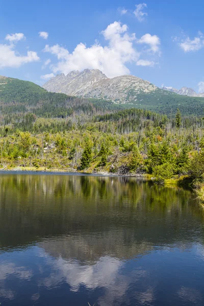 Visa från dammen vid berget. — Stockfoto