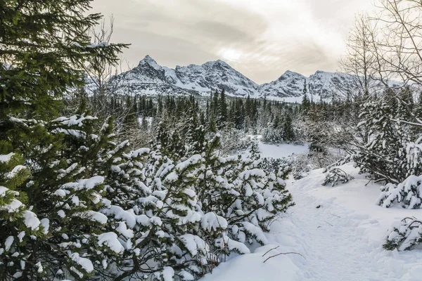 Mountain winter - Tatras. — Stock Photo, Image