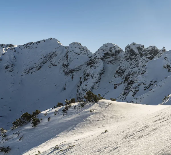 Crête de montagne rocheuse . — Photo