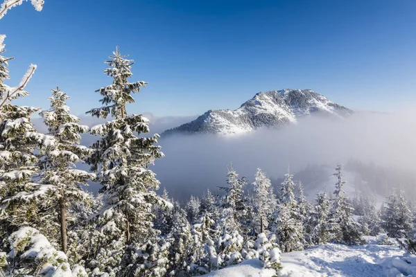 Tatras kışın dağ.