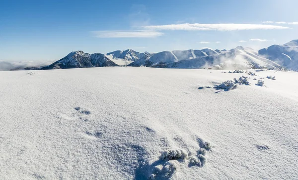 Peaks emerging from a snow ridge. — Stock Photo, Image