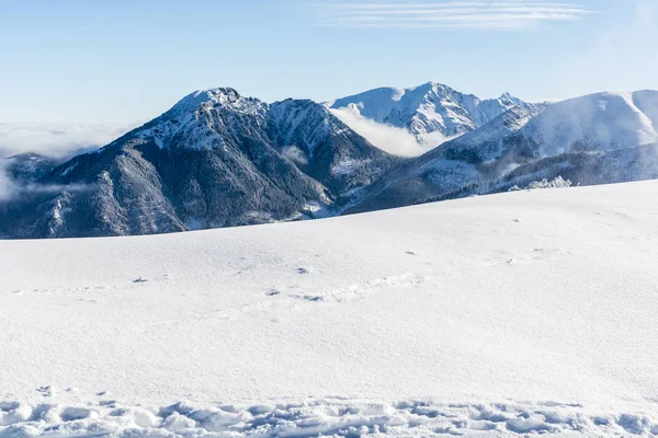 Große Gipfel in winterlichen Farben. — Stockfoto