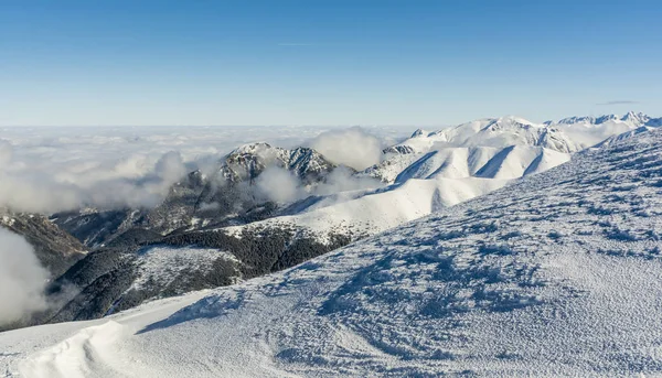 Dağda görülen kış manzarası. — Stok fotoğraf