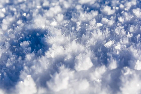 Γκρο πλαν, νιφάδες χιονιού. — Φωτογραφία Αρχείου