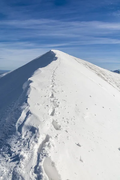 The trail tourist founded in the winter at the edge of the ridge — Stock Photo, Image