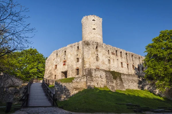 Burg Lipowiec - Ruinen der Krakauer Bischofsburg in der polnischen Jura im Dorf Babice. — Stockfoto