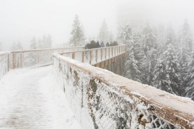Zdiar, Slovakya - 11 Şubat 2018: kış sezonunda Bachledka turist treetop üzerinde siste yürümek.