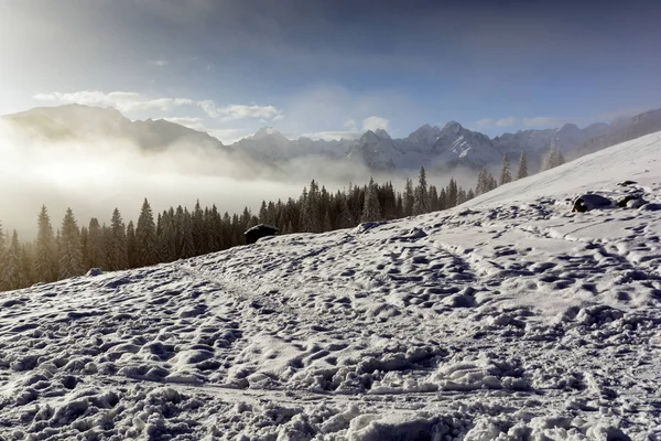 A wonderful mountain landscape in winter. — Stock Photo, Image