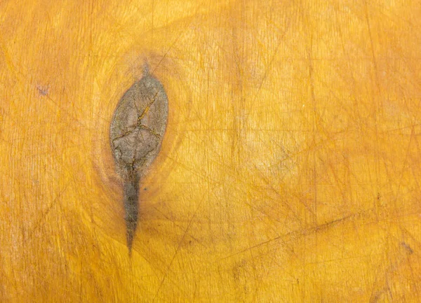 Wood knot in vertical section. — Stock Photo, Image