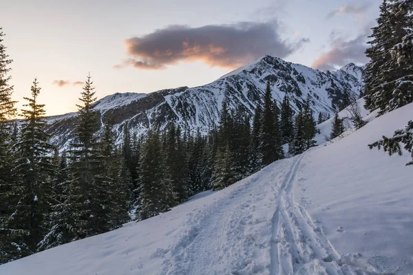 On the snow tracks of hikers and skiers in the mountains at sunrise. — Stock Photo, Image