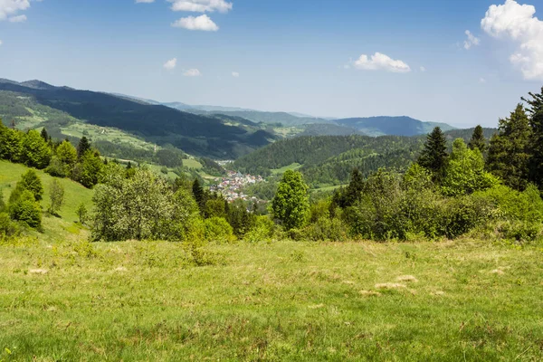 Village in the valley surrounded by green forests and meadows. — Stock Photo, Image