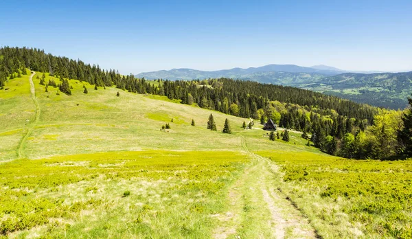 Различные оттенки зеленой поляны и леса в горах . — стоковое фото