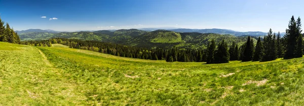 Een breed voorjaar panorama van een groene glade en bossen groeien op berghellingen. — Stockfoto
