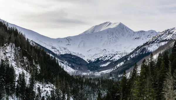 View Winter Landscape Dominant Bystra Peak Which Highest Mountain Western — Stock Photo, Image