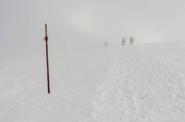 Zakopane, Polonya - 30 Ocak 2019: Dağ kış turizmi. Turistlerin kışın siste hareket etmesini kolaylaştıran yön direği..