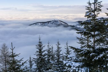 Kış dağlarında bir peri masalı sabahı. Bulutlar denizinden yükselen bir zirve.