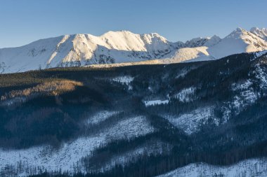 Dağlarda kış. Alttaki bitki örtüsü zemininde orman yamaçları ve batan güneşin aydınlattığı üst kattan karla kaplı tepeler. Yüksek Tatra Dağları, Tatra Ulusal Parkı, Polonya.