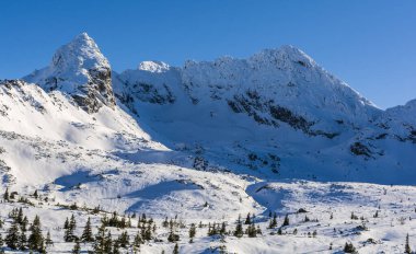 Yeşil Gasienicowa Vadisi ve Koscielec ve Swinica (Swinica) gibi tepeleri olan bayır. Yüksek Tatra Dağları, Tatra Ulusal Parkı, Polonya.