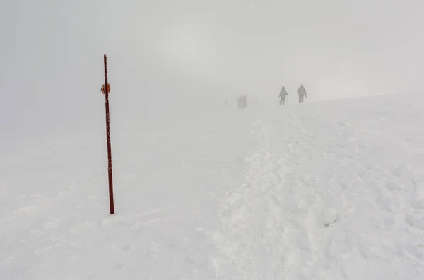 Zakopane Poland January 2019 Mountain Winter Tourism Directional Pole Makes — Stock Photo, Image