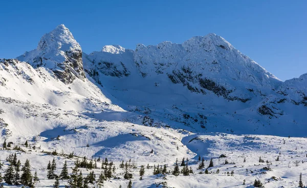 Green Gasienicowa Valley Ridge Peaks Koscielec Swinica Svinica High Tatra — Stock Photo, Image