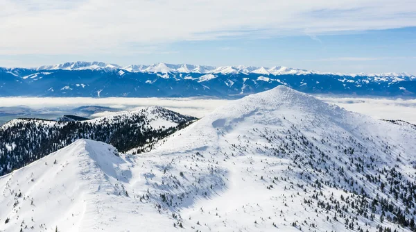 Dağ Sırasının Panoramik Görüntüsü Kış Manzarası Low Tatras Slovakya — Stok fotoğraf