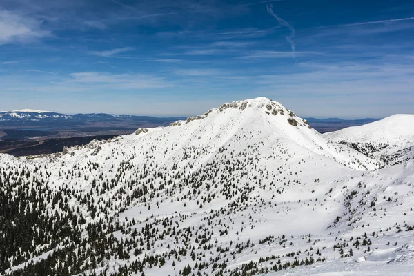 Siwy Wierch Sivy Vrch Kış Manzarası Slovakya Batı Tatras Ana — Stok fotoğraf