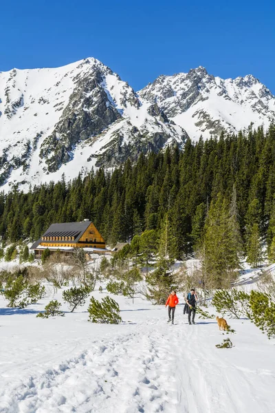 Strbske Pleso Eslovaquia Marzo 2019 Pareja Turistas Con Perro Paseando — Foto de Stock