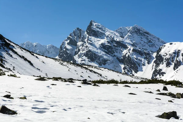 Koscielec Hora Vysokých Tatrách Polském Údolí Gasienicowa Pohled Summit Zimní — Stock fotografie