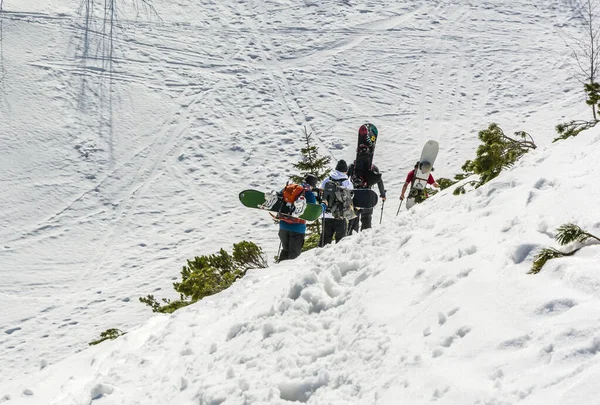 Zakopane Polonia Aprile 2019 Snowboard Montagna Gruppo Amici Cammina Uno — Foto Stock