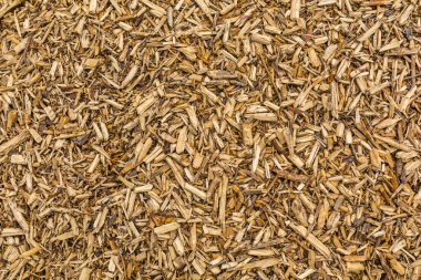 Küçük tahta parçalarının dokusu (desen).