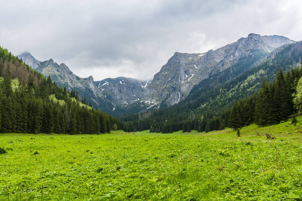 Tatras in Poland. The forest and the clearing in the valley of Malej Laki and the surrounding mountains on a cloudy day.