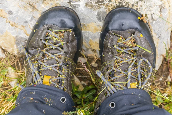 Wet Approach Shoes Walk Wet Grass Rain Presented Stone — Stock Photo, Image